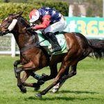 Bet365 Gold Cup 2024 – full list of runners and riders for HUGE race at Sandown